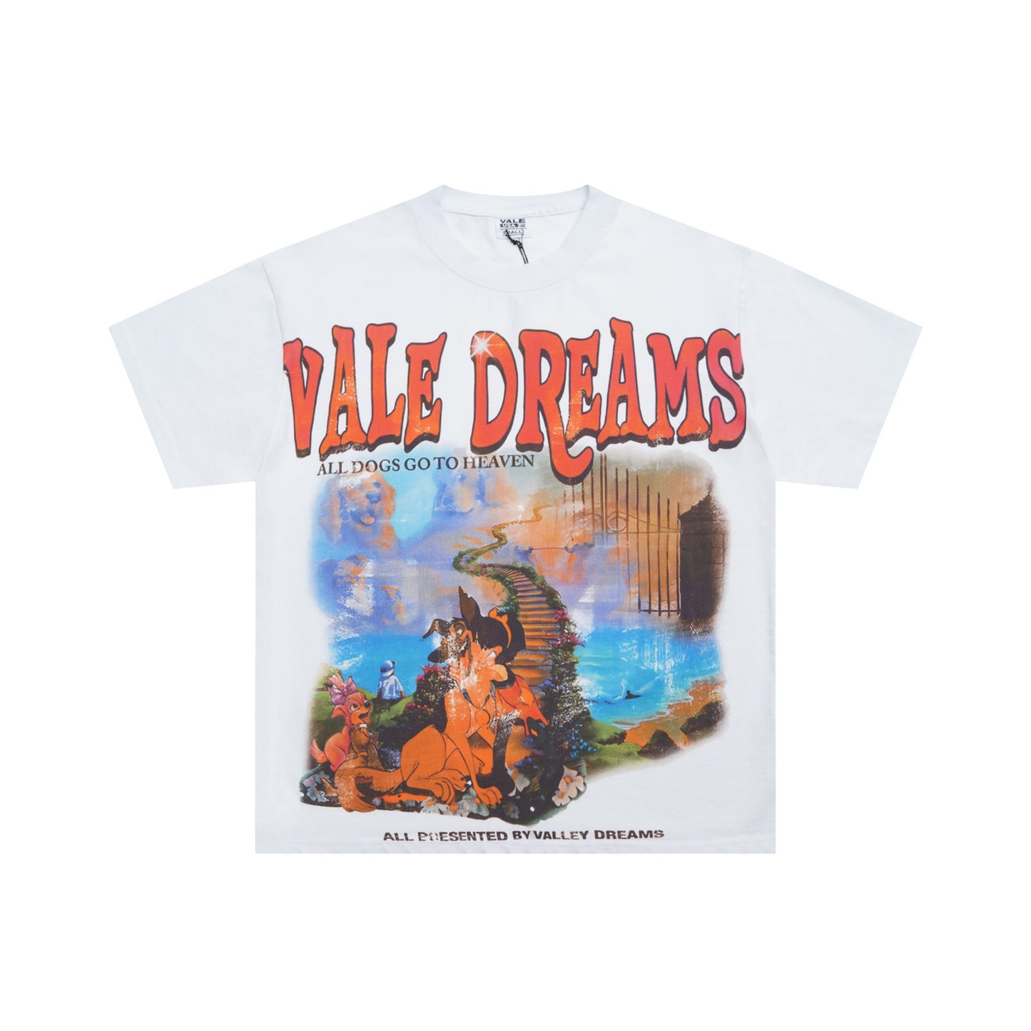 Iconic Valley Dream Retro Graphic Tee Men's Vintage Washed High Street Fashion Casual Top